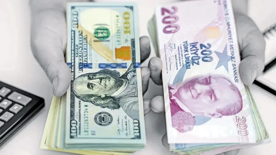 Türkiye'de en çok döviz tutan iller belli oldu