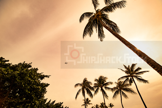 Golden Hours, Hawaii