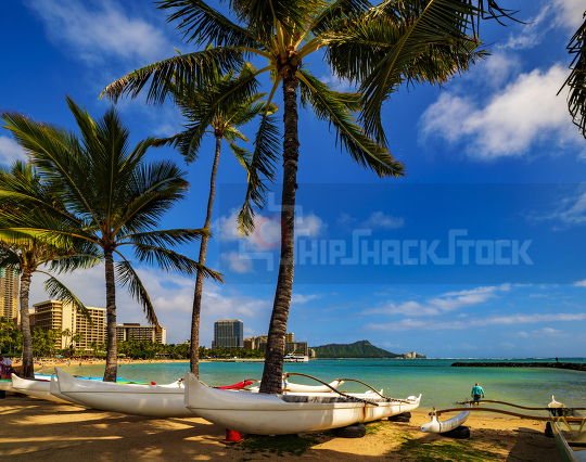 Catamarans on the beach