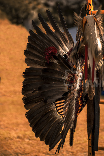 Indian Feathers