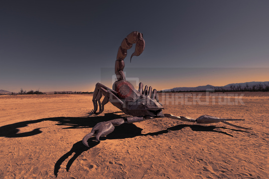 The Scorpion