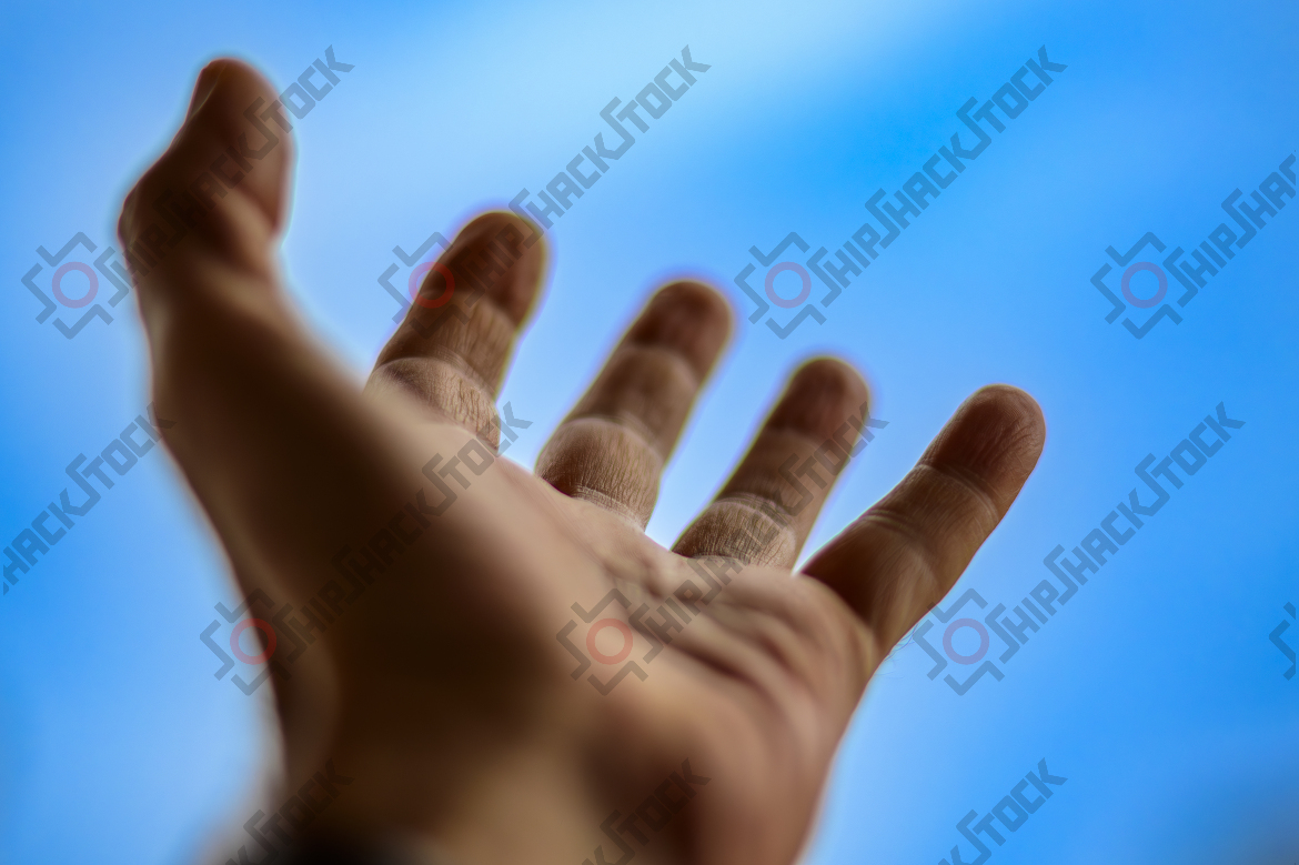 Left hand and fingers